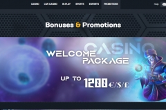 Bet Beard Casino Bonuses