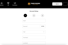 Tiger Riches Casino Registration