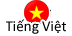 Vietnamese Language