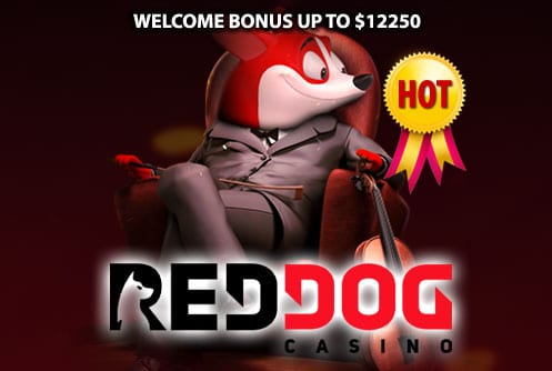 Red Dog Casino 100 No Deposit Bonus Codes 2020