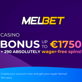 Melbet registration and review   Betting Dog