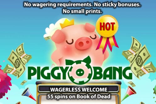 Piggy Bang Casino Hot Offer