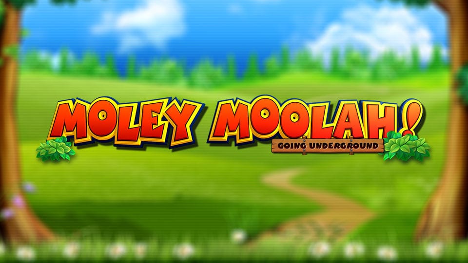 Moley Moolah