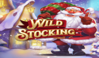 Wild Stocking Slot