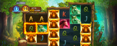 Explore The Wild Forest With The Blazing Bull: Cash Quest Slot