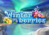 Winterberries slot