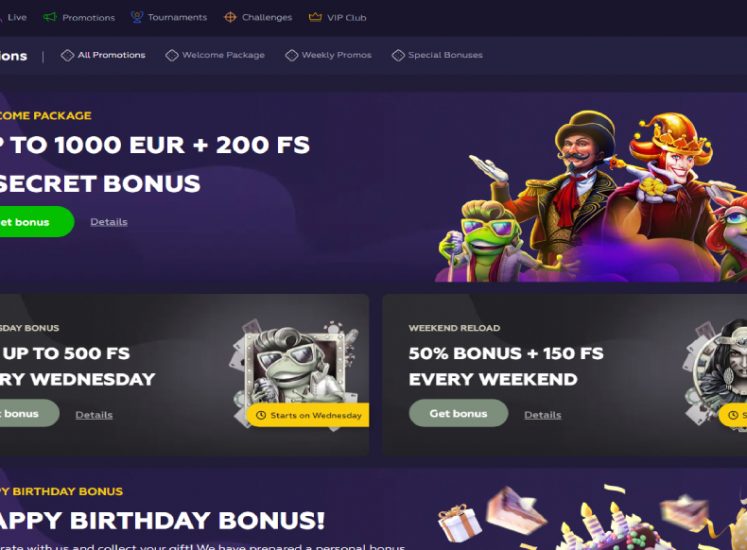 Playfina Casino Bonuses Section