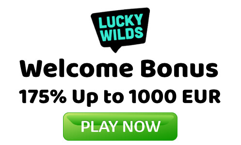 Lucky Wilds Casino logo