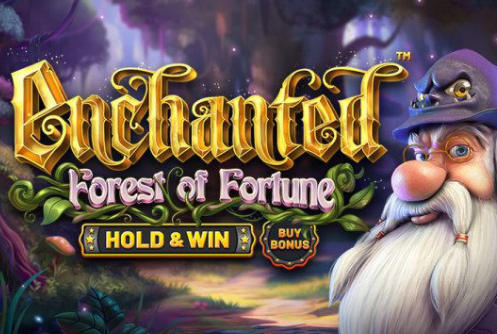 Enchanted: Forest of Fortune Slot