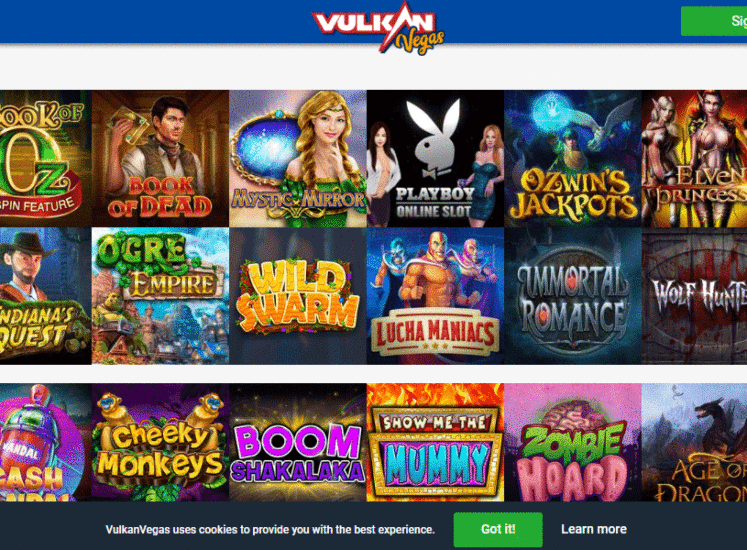 Vulkan Vegas Casino Slots Section
