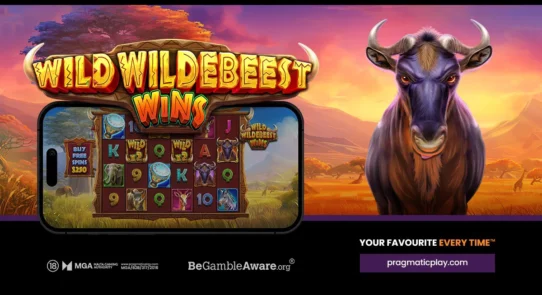 Wild Wildebeest Wins