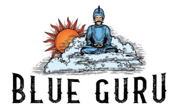 BlueGuruGames