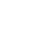 BetBeast Casino Logo