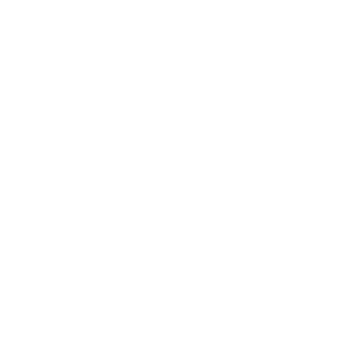 BetBeast Casino Logo