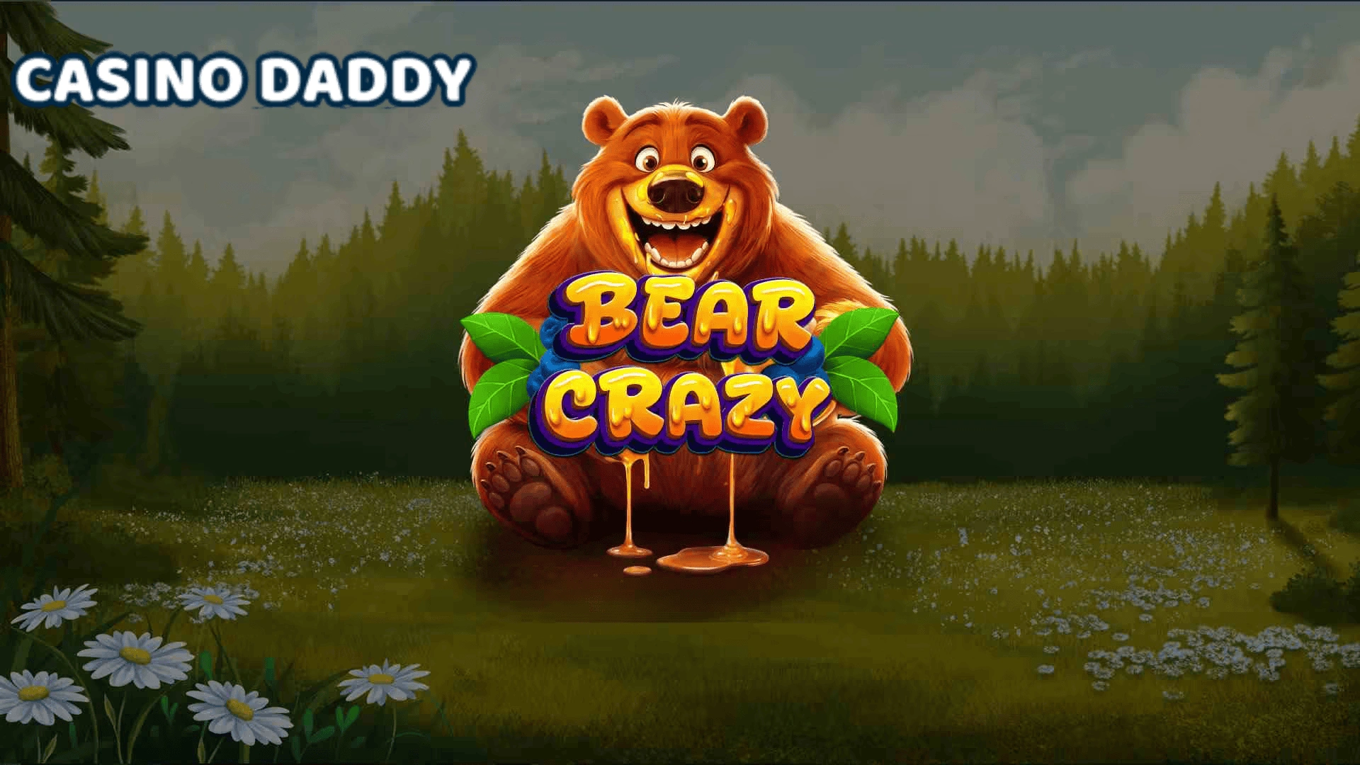 Bear Crazy