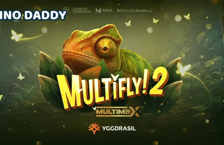 MultiFly! 2