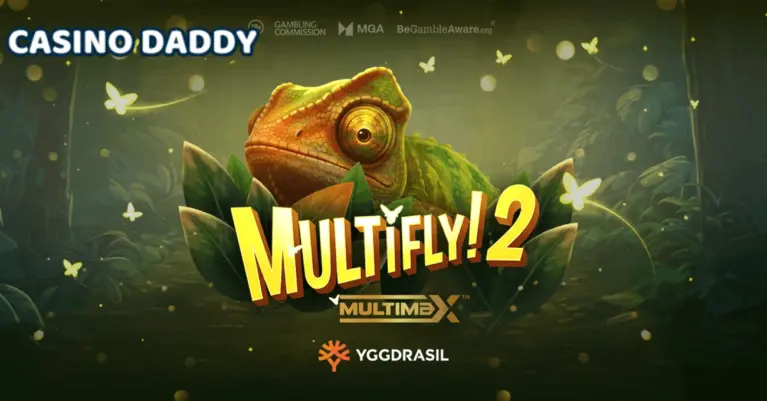 MultiFly! 2