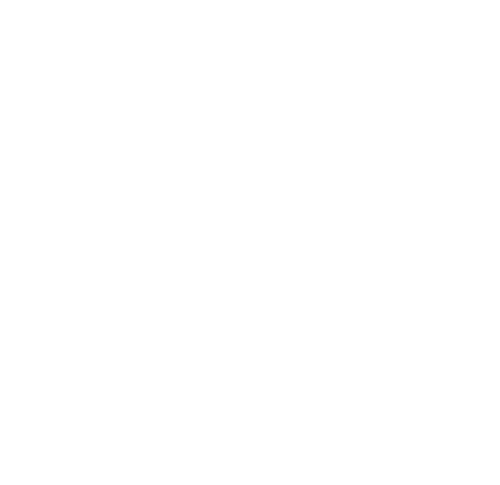 Immerion Casino