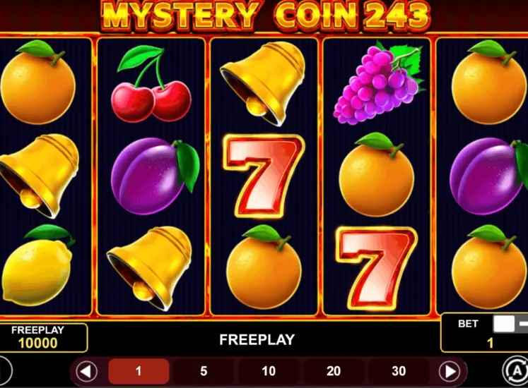 Mystery Coin 243