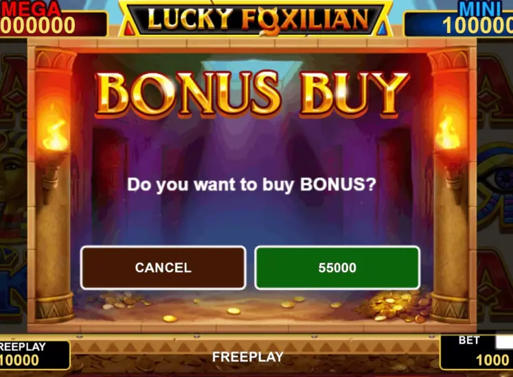 Bonus Buy Options