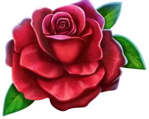 Rose Symbol